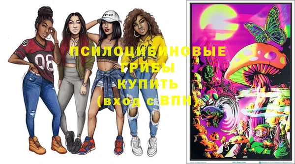 бутират Алексеевка