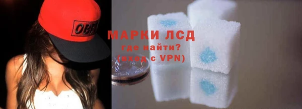 стафф Алексин